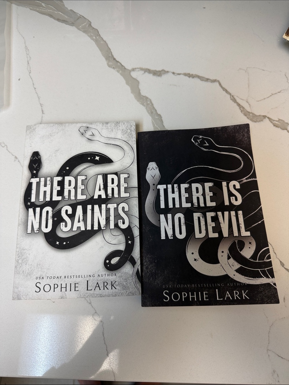 Sophie Lark  There are no saints and There is no devil books bundle
